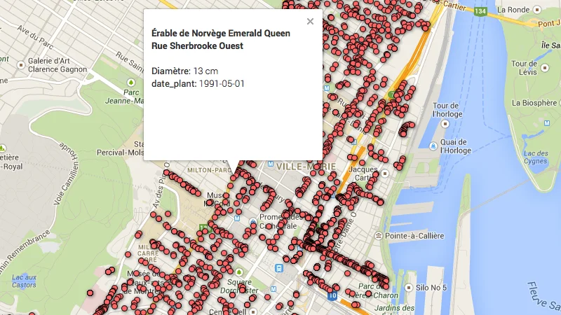 Arbres de Ville-Marie avec GFT